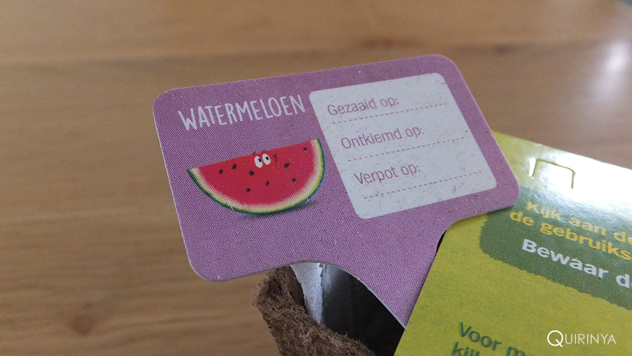 AH moestuinpotje: watermeloen